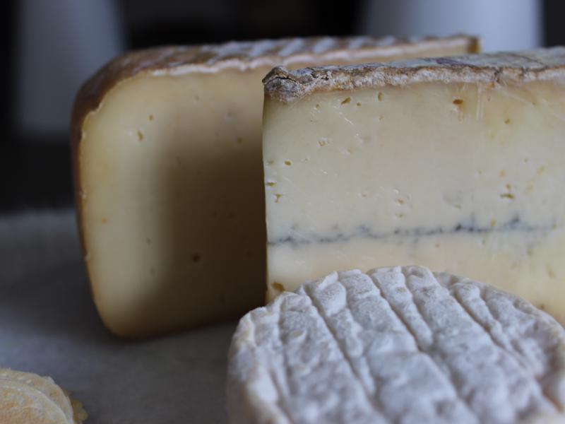 Cheese of Australia
